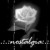 suzznj's icon