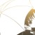 Himawari-xoxo's icon