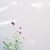 flyskyheart's icon