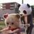 bearru・'s pretty face
