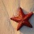 supernovagurl's icon
