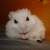 boommamamia's icon