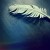 HarryPotterLover's icon