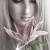 bay_weexin's icon