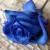 MISunderstoodMe's icon
