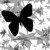 bloodstained-'s icon