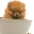 `aManda`'s icon
