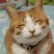cookieness's icon