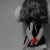 RAdesigns(:'s icon