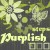 %purplish.STEPS's icon