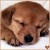 jasmine409's icon
