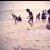 Angel_Lene's icon