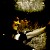 !rock's icon