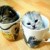 catii77's icon