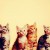 Riccarda's icon