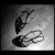 MI-CARE-LE's icon