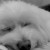 keeraa's icon