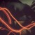 xiiaotreetree's icon