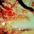 starofyo-u's icon