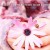 royalbratz's icon