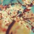 /accidentality's icon