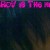ZaZa96's icon