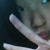 Unfading-Memories's icon
