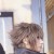 katamy's icon