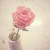qiing931's icon