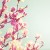InDreamsMaybe's icon