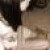 pamc's icon