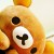 Parading Sentiments .'s icon