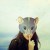 XSTACY.'s icon
