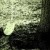 requiem-'s icon