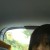 hisDEAR x3's icon