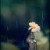 yourlastnight.'s icon