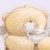 cocochoco's icon
