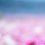 blow-awaykisses's icon