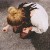 YourSweetestR0mance's icon