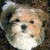 smile-laugh-havefun's icon
