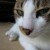 FunkyCandice191's icon