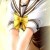 sophie1997's icon
