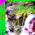 dyana_263's icon