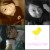 ♥-/cammy's icon
