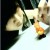tianying993's icon