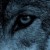 Fakie's icon