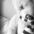 Retarted%Jess's icon