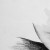 TINGZXZX-'s icon