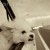 Aphrena's icon