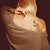 nand/aah's icon